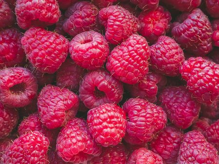 a lot of ripe raspberries close up - food backgroundの写真素材