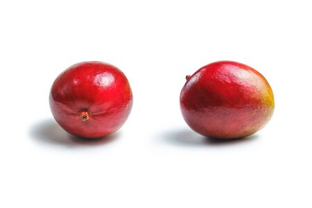 mango on white isolatedの写真素材