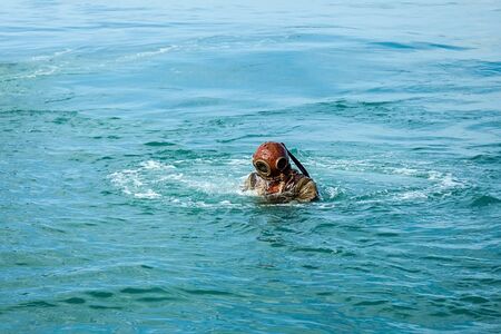 The diver plunges into the sea.の写真素材