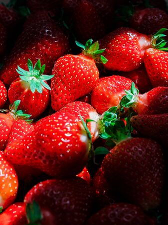 ripe red strawberries under the sun close upの写真素材