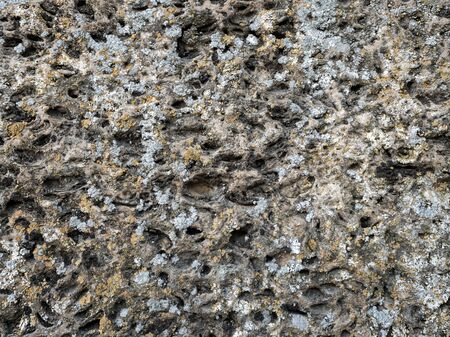 stone texture with gray and beige moss closeupの写真素材