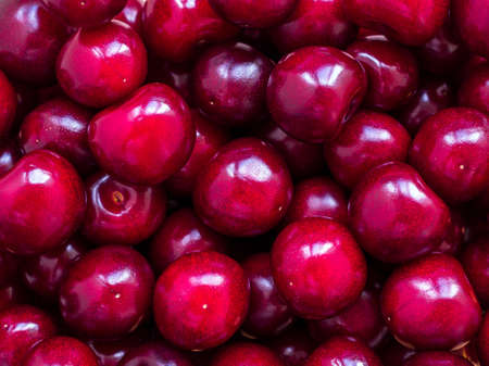 shiny large ripe red cherries closeup - food background