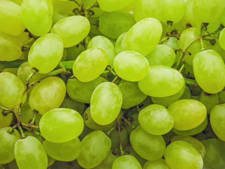yellow ripe grapes Raisins close-up food backgroundの写真素材