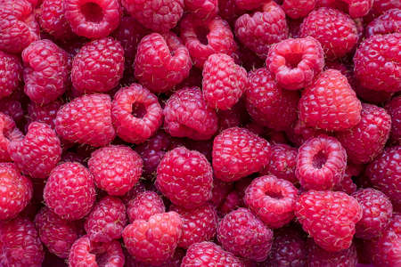 food background - a lot of ripe raspberries close upの写真素材