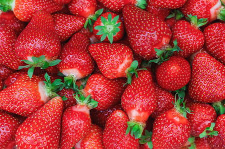 many red ripe strawberries with green stalks - backgroundの写真素材