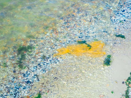 big yellow plastic bag floating in the sea