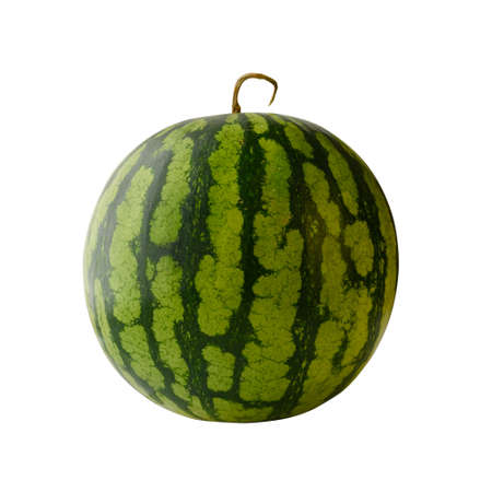 unpeeled watermelon on white background isolated without shadowの写真素材