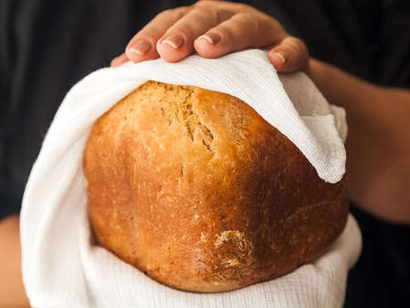 homemade white bread in hands on a white waffle towel, black apron