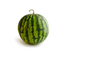 ripe unpeeled watermelon with stalk isolated on white, copy spaceの写真素材