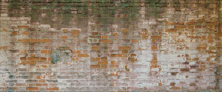 texture: old cracked brick wall painted with white paint and covered with mossの写真素材