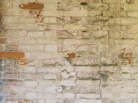 vintage brick wall with peeling white paint, cracks, moss and mold close upの写真素材