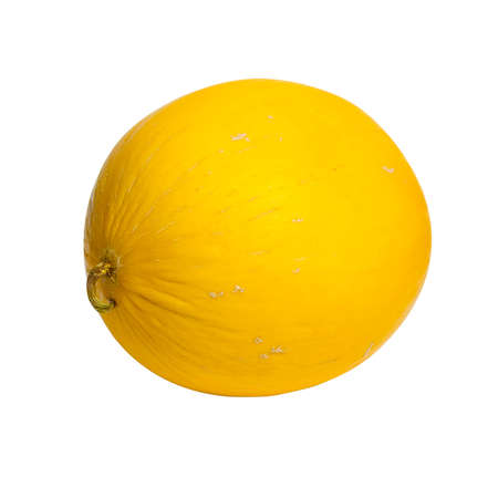 yellow canary melon on white background isolated without shadowの写真素材