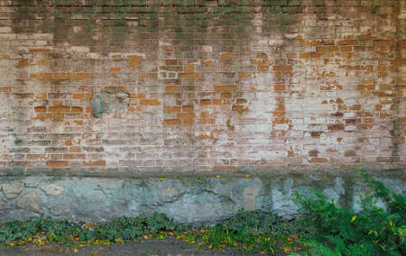 vintage brick wall with peeling paint, stains, mildew and green mossの写真素材