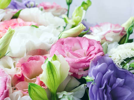 a bouquet of flowers of pastel shades close up - plant backgroundの写真素材