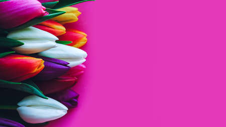 bouquet of tulips on pink background, copy spaceの写真素材