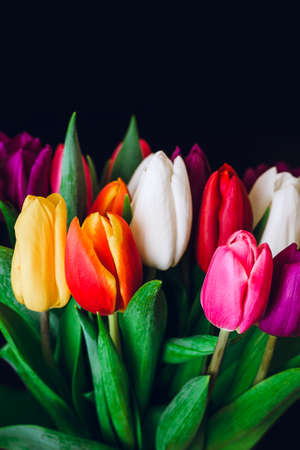 bouquet of tulips of different colors: white, purple, red, yellow, orange on a black background. Vertical shot, copy spaceの写真素材