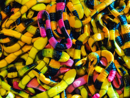 gelatinous candies in the form of multicolored striped snakes - food backgroundの写真素材