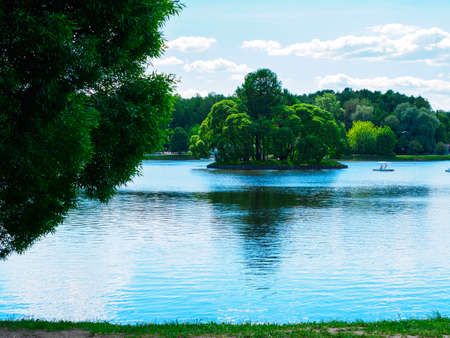 small green island on the pond in the summer parkの写真素材