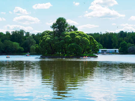 small green island on the pond in the summer parkの写真素材