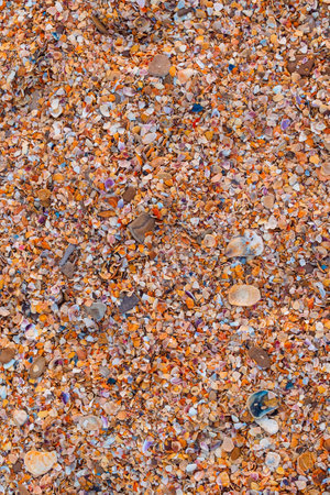 beautiful beach background: small shell rock and stones close-upの写真素材