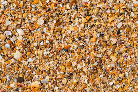 background: small wet broken shell rock off the Black Sea coastの写真素材