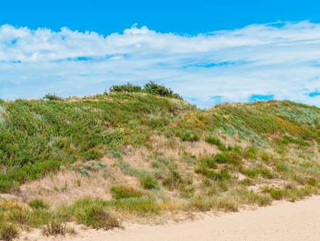 horizontal shot: beautiful blue cloudy sky and seaside hills in windy sunny weatherの写真素材