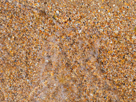 Marine background: sandy bottom and waterの写真素材