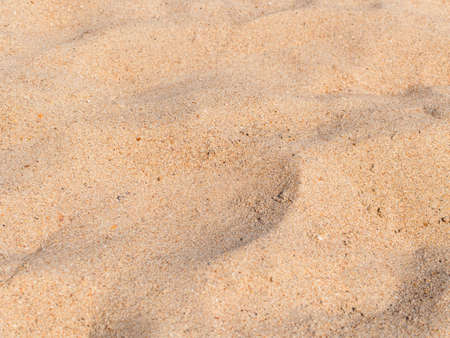 golden sand on the Black Sea beachの写真素材