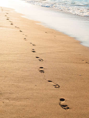 footprints on the golden sand by the sea in the eveningの写真素材
