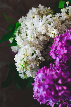 bouquet of white and purple lilacs close upの写真素材