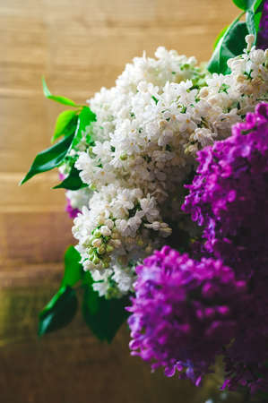 bouquet of white and purple lilacs with water drops on golden backgroundの写真素材