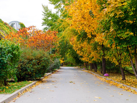 autumn in the city park, footpath without peopleの写真素材