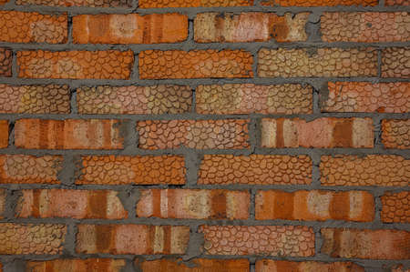 close-up of turtle bricks - wall backgroundの写真素材