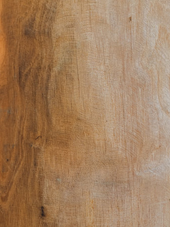 sanded eucalyptus log close-upの写真素材