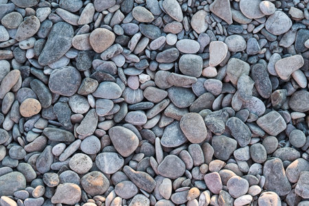 texture: rocky beach floor