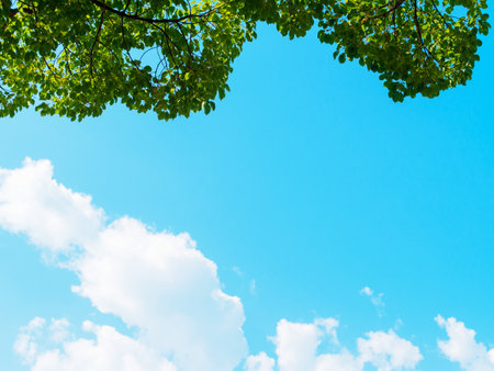 blue peaceful sky, clouds and tree top. Copy space in the centerの写真素材