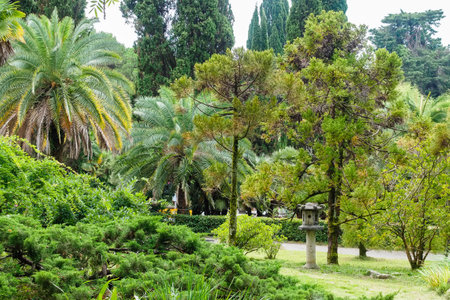 palms, cypresses, pines and other plants in the arboretumの写真素材