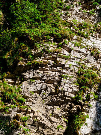 Rocks in the mountains in Mendelikh Waterfalls Park in Sochiの写真素材