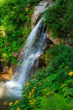 beautiful waterfall in the mountains in summerの写真素材