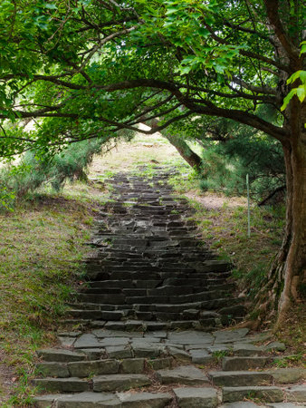 Stairs made of natural stone in the park in summerの写真素材