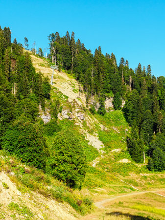 Southern slope of Rosa Peak Mountain in summerの写真素材