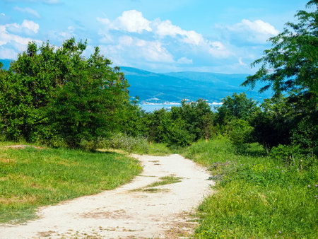 path in the park overlooking the sea and mountains in summerの写真素材