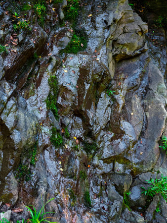 wet rocks with green moss in summerの写真素材