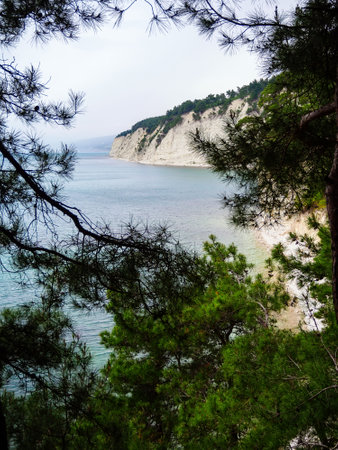 View of the sea and cliff through pine branchesの写真素材