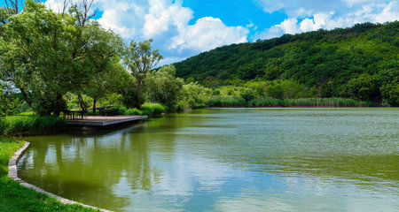 lake in summer on a sunny dayの写真素材
