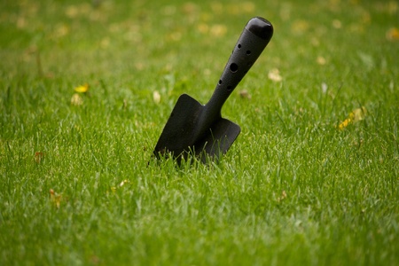 A single Gardens Trowl on green grassの写真素材