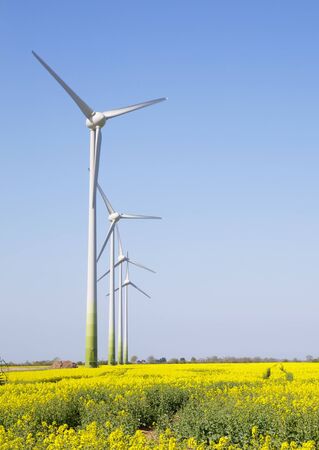Wind turnbines in a line agaist a blue sky in a yellow fieldの写真素材