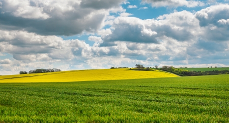 A view of the lincolnshire wolds in summerの写真素材
