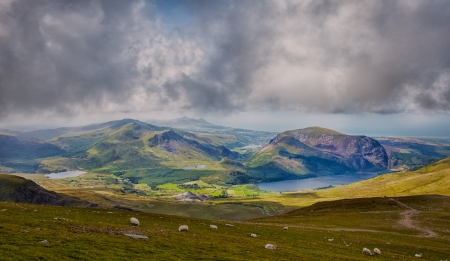 sheep on hill seen from mount snowdonの写真素材