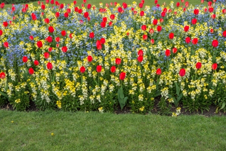 Colourful flower bedsの写真素材